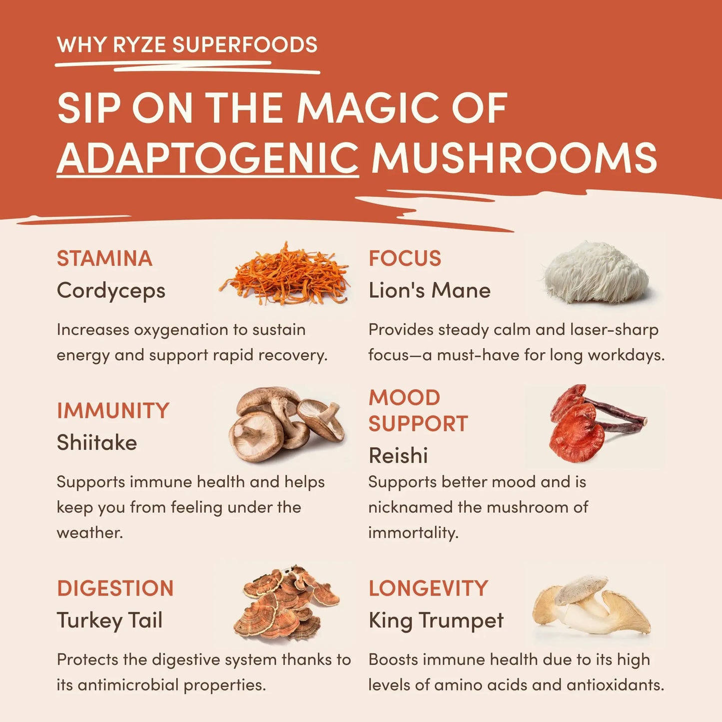 Mushroom Coffee (1 pack - 30 Servings) - UV49