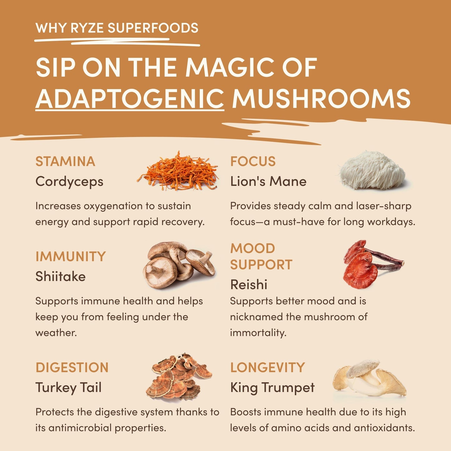Mushroom Overnight Oats (14 Servings) - BWE3