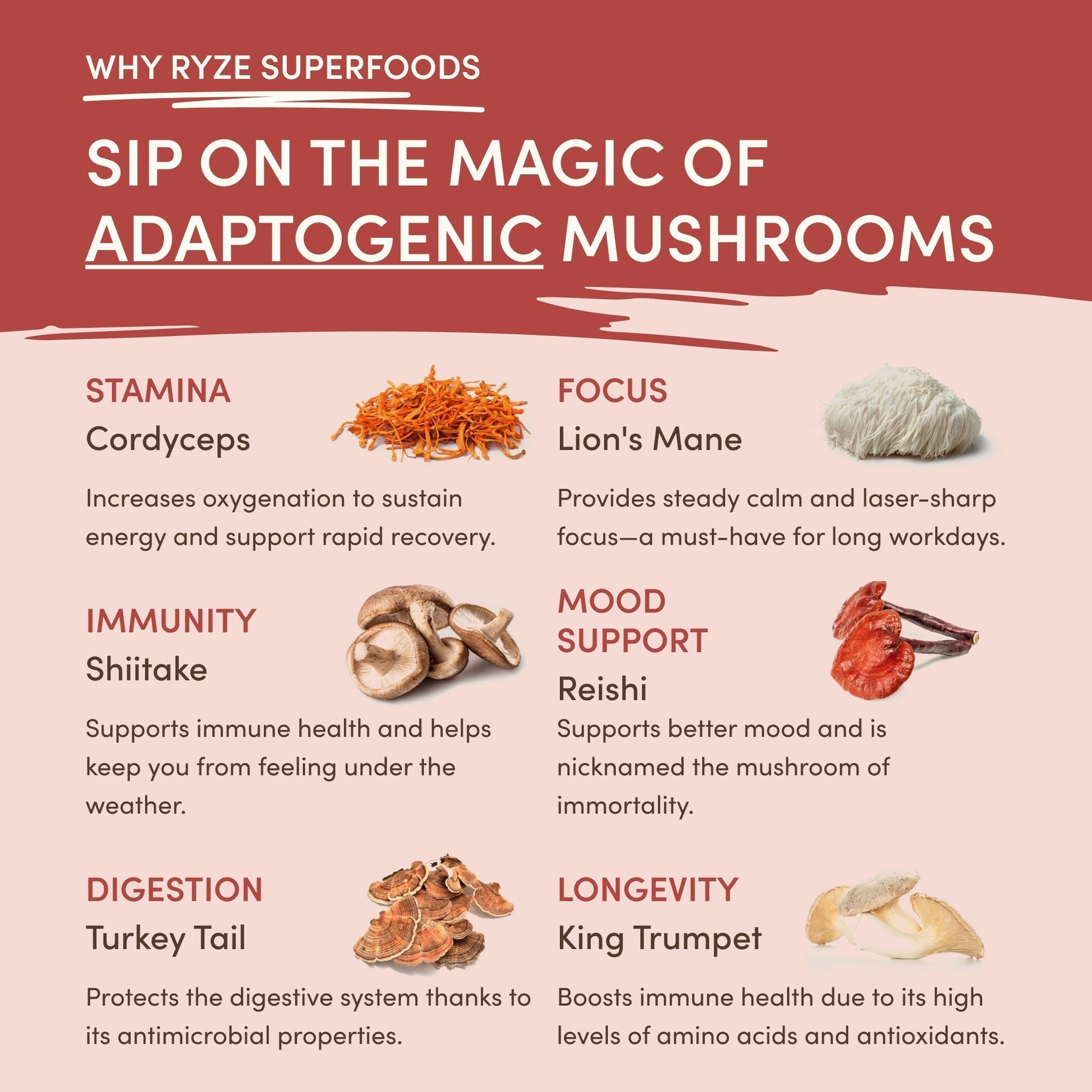 Mushroom Chai (1 Pack - 20 Servings) - 6U4K