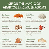 Mushroom Matcha Starter Kit (60 Servings) - GT6J
