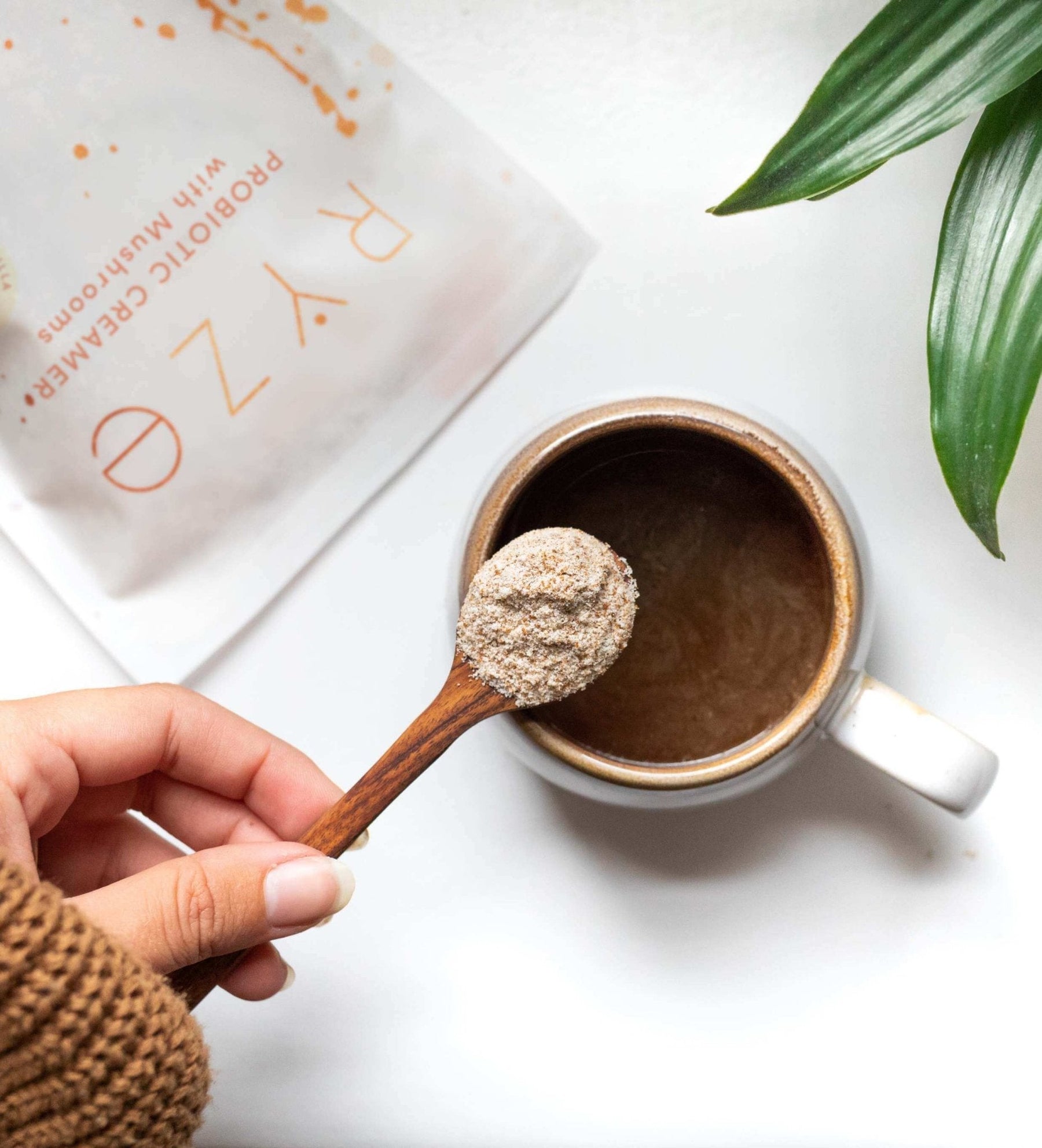 Probiotic Creamer (30 Servings) - QCNX