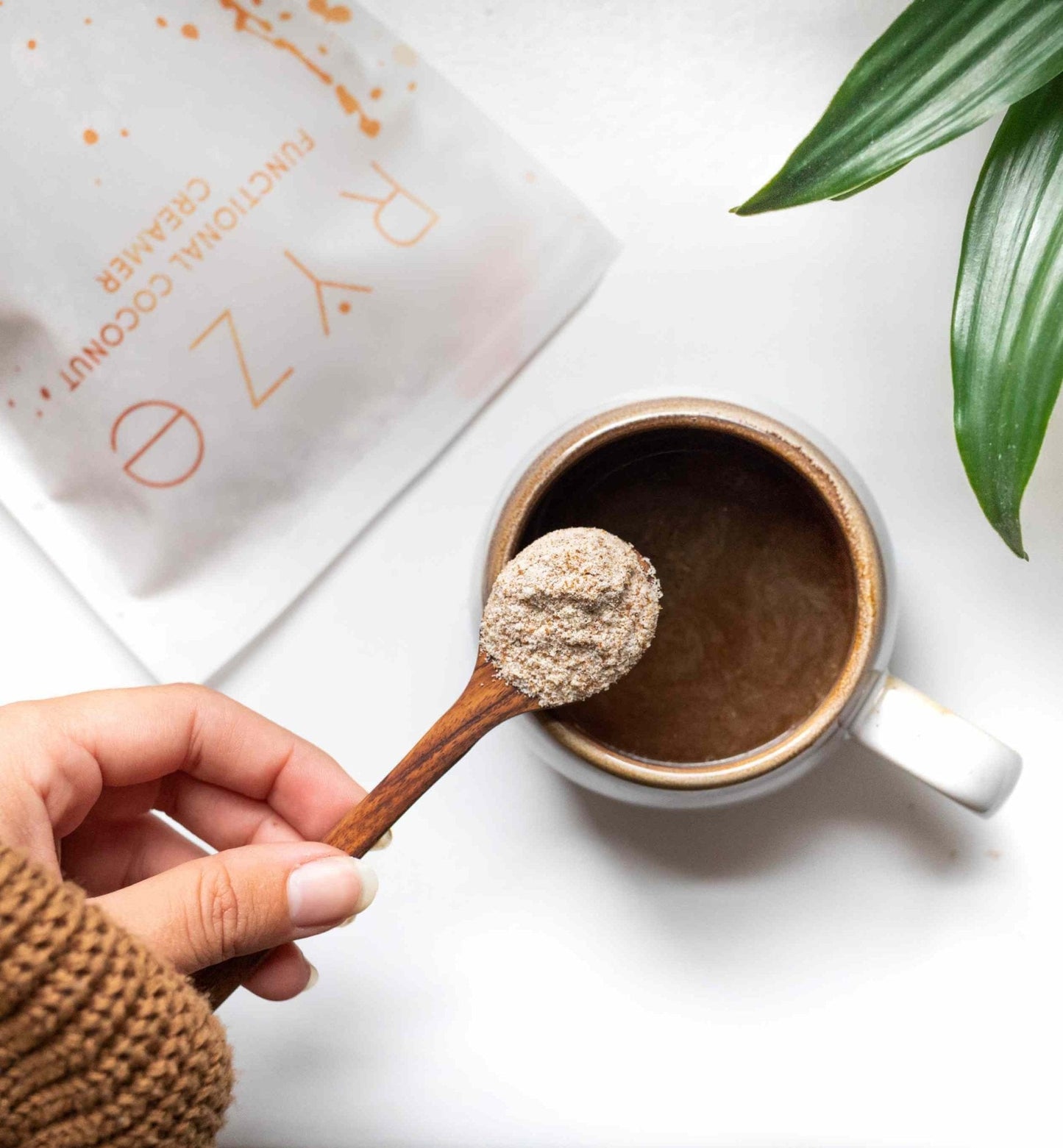 Probiotic Creamer (SPECIAL PRICING) - 14ZJ
