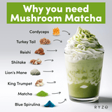 RYZE Mushroom Matcha - with 6 Organic Adaptogenic Mushrooms Grown In USA and Ceremonial-Grade Japanese Matcha - Q6AG